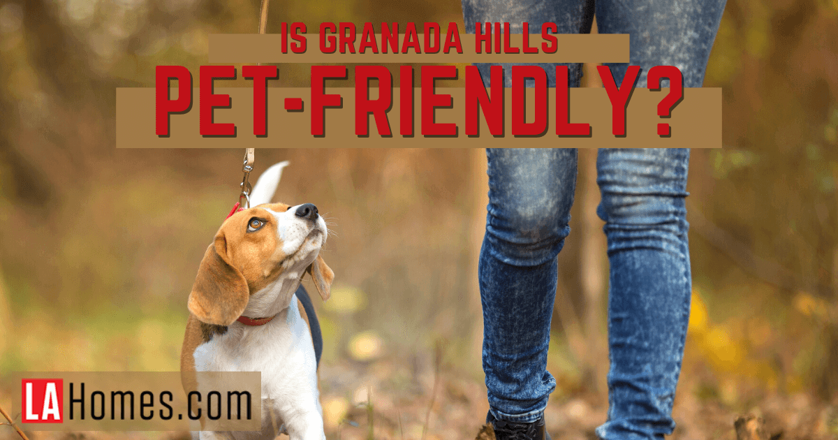 Things to Do With Dogs in Granada Hills, CA