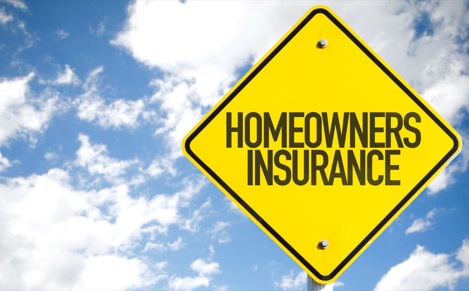 Everything You Need to Know About Homeowners Insurance