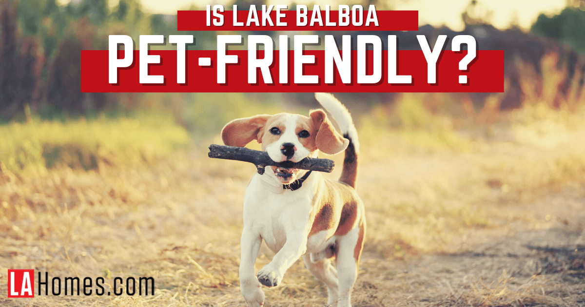 Things to Do With Dogs in Lake Balboa