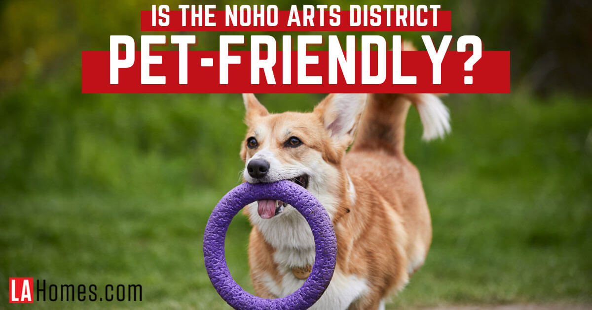 Things to Do With Dogs in NoHo Arts District