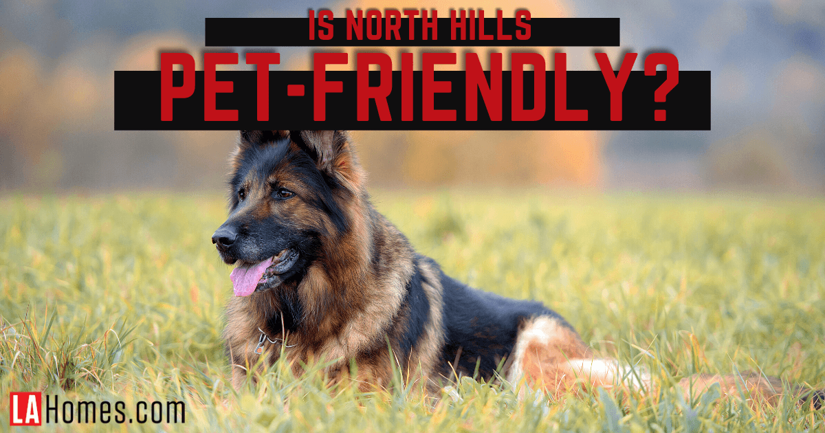Is North Hills a Good Neighborhood for Pet Owners?