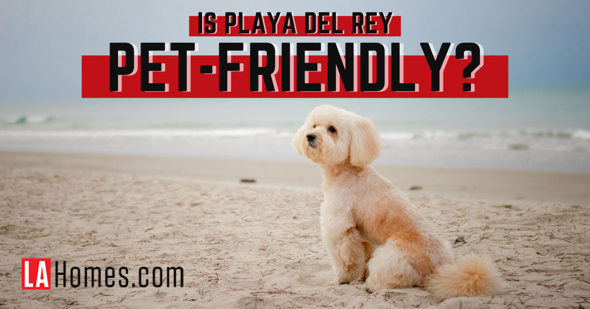 Things to Do With Dogs in Playa Del Rey, CA