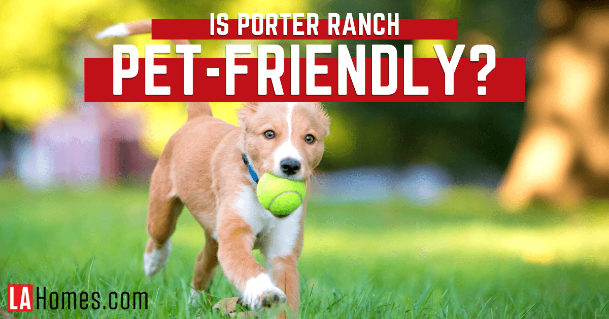 Pets In Porter Ranch: Local Dog Parks, Pet Stores & Vets