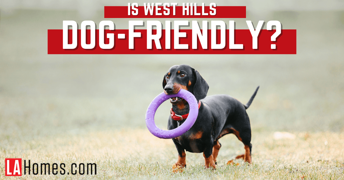 Things to Do With Dogs in West Hills