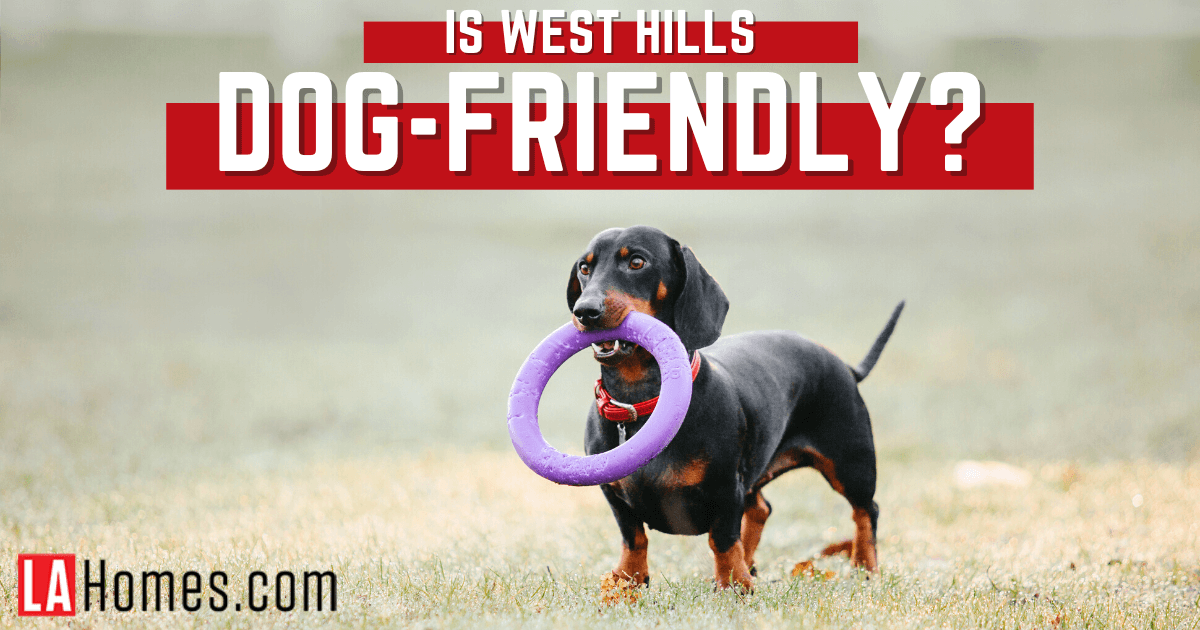 5 Pet Friendly Parks Places in West Hills Los Angeles