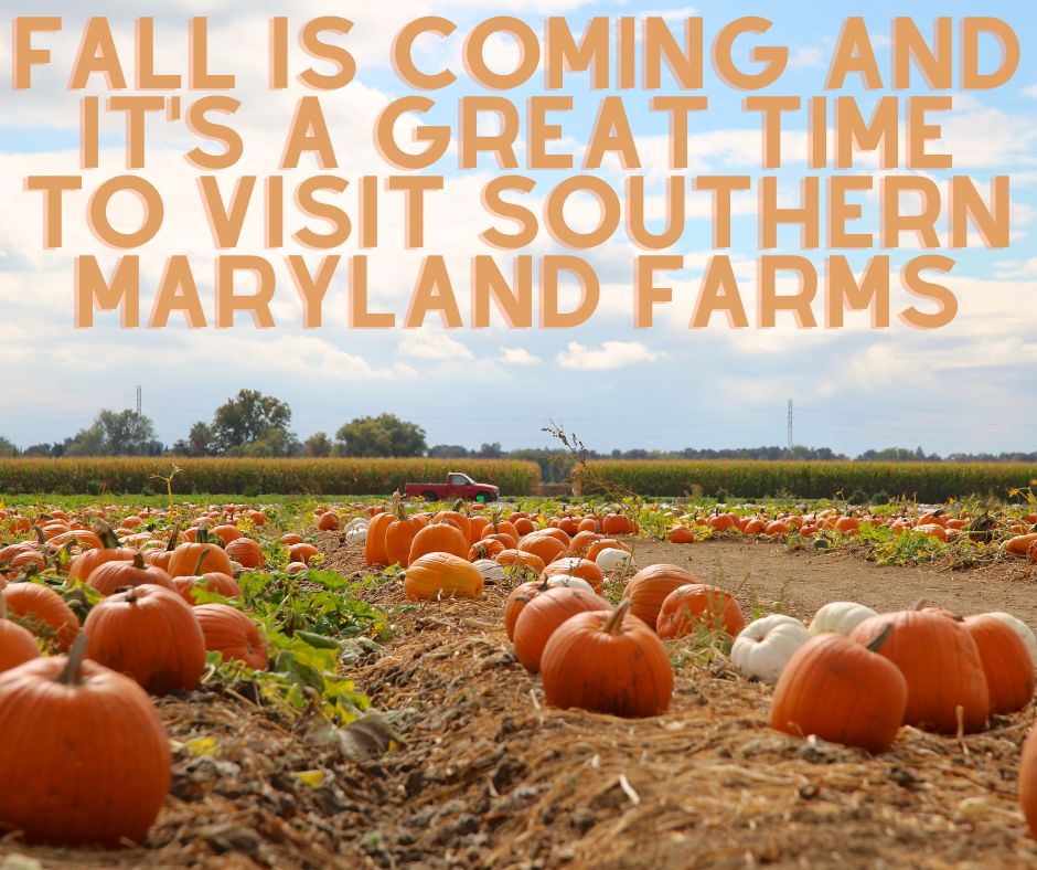 Fall is Coming and it's a Great Time to Visit Southern Maryland Farms