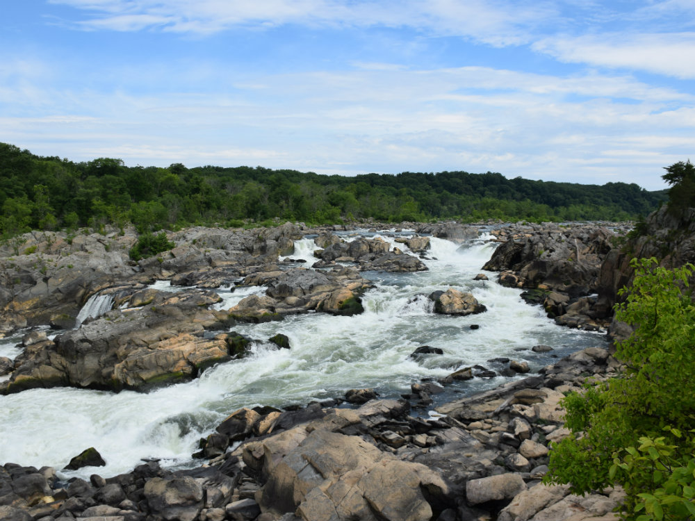 By US National Park Service - https://www.nps.gov/media/photo/view.htm?id=FE302011-1DD8-B71B-0B3EBBD3FCAF500D, Public Domain, https://commons.wikimedia.org/w/index.php?curid=71588113