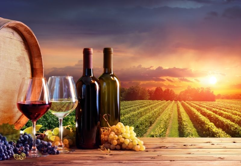 The Patuxent wine trail