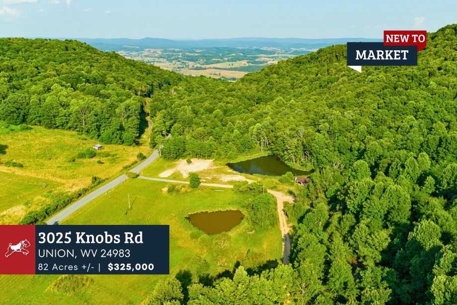 3025 Knobs Rd Union, WV 24983