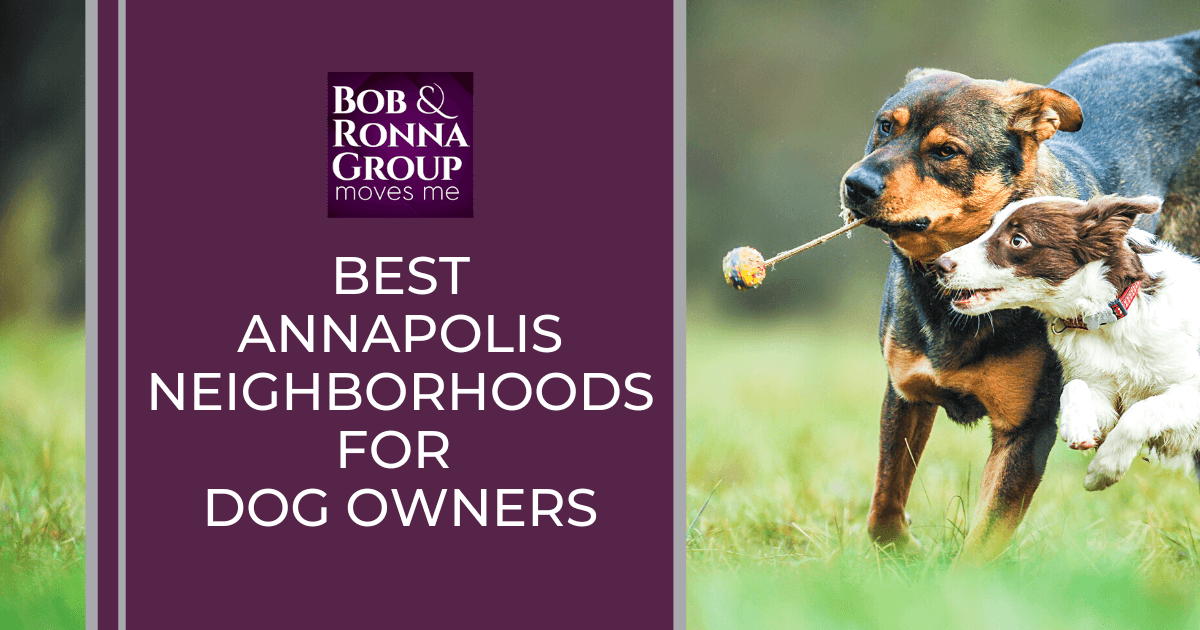 Annapolis Best Neighborhoods for Dog Owners