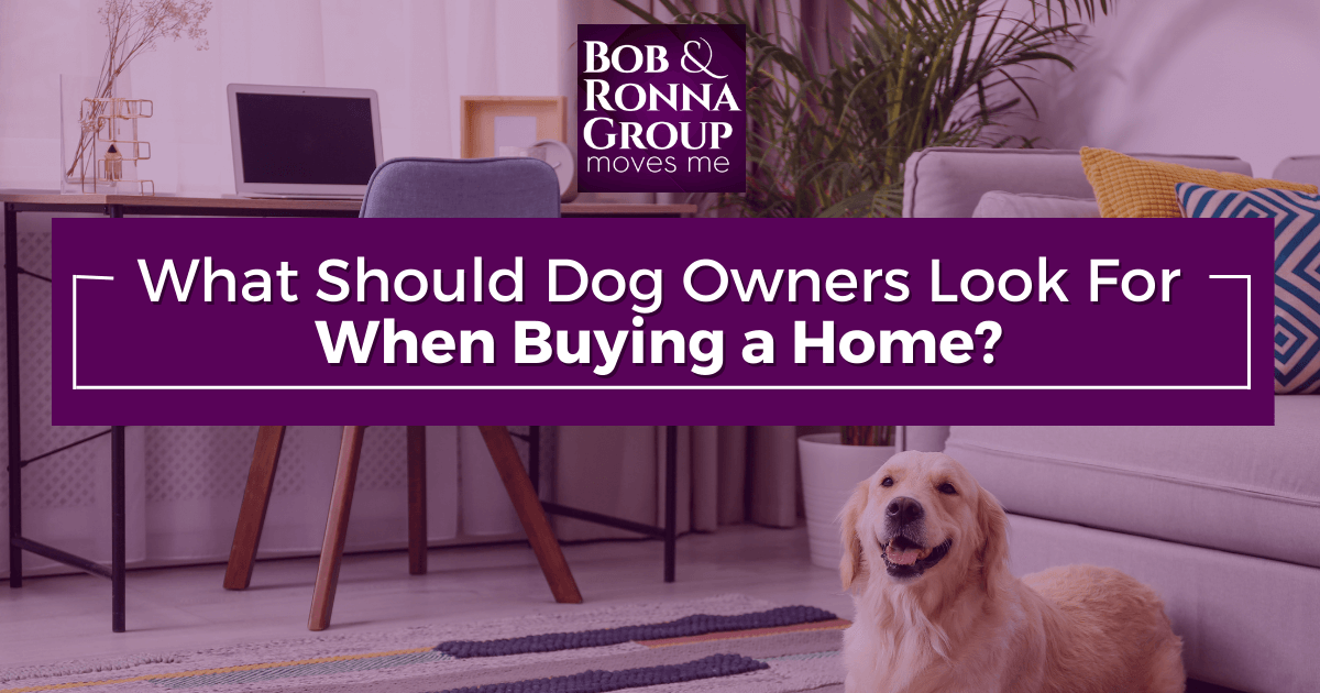 What to Look For in a Home When You're a Dog Owner