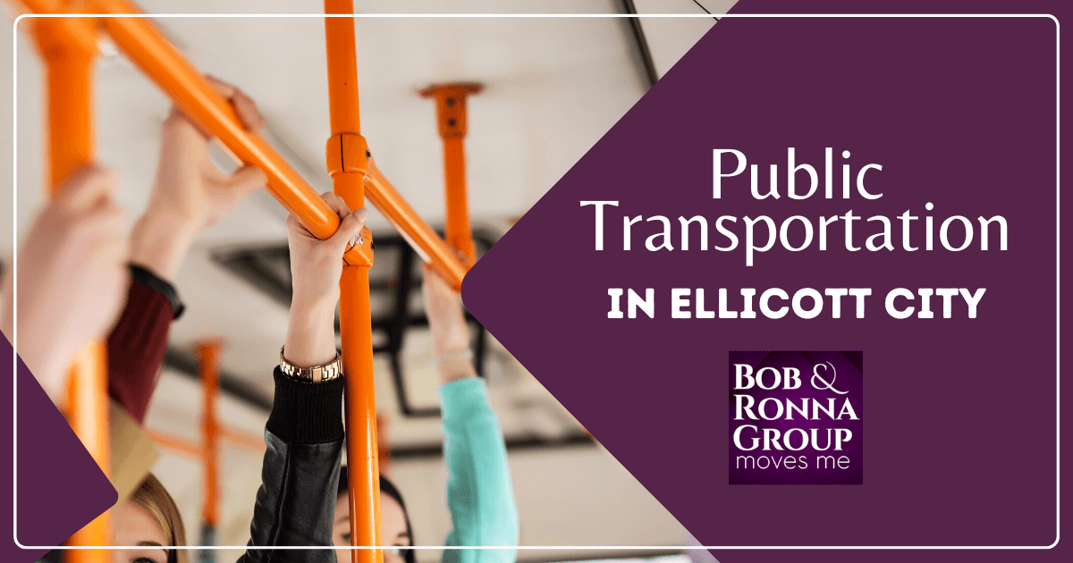 Public Transportation in Ellicott City
