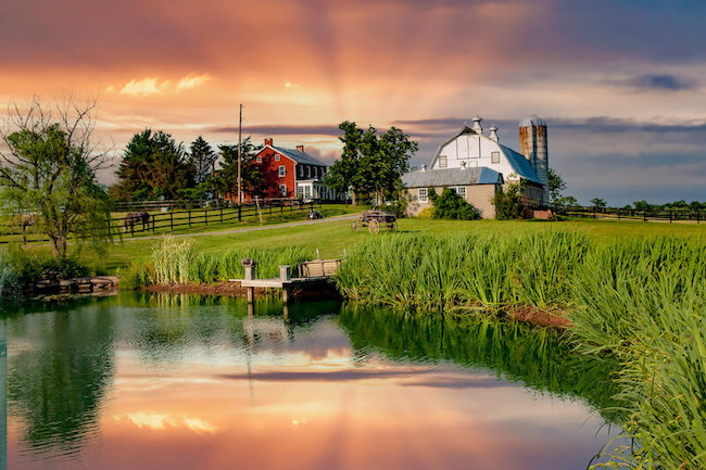 Farm in Emmitsburg MD