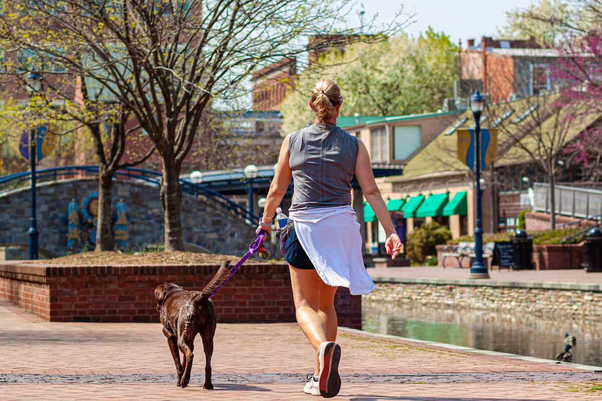 Dog Friendly Places In Frederick Md