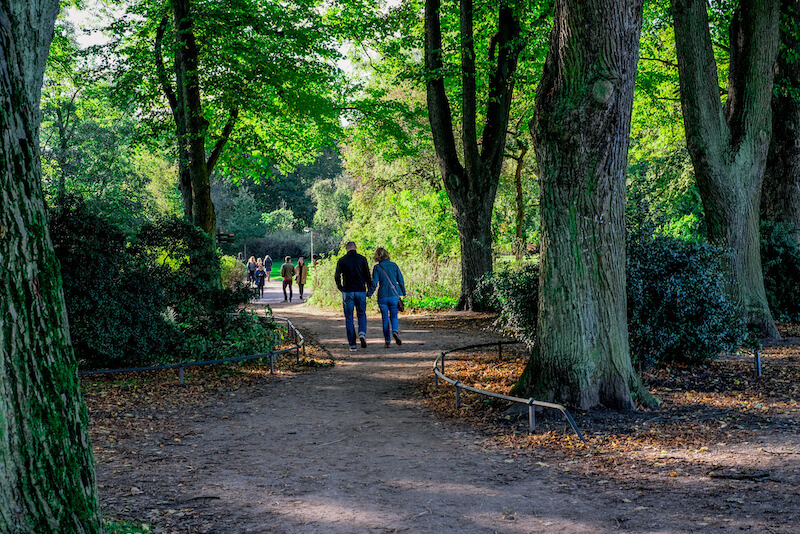 Hiking Near Columbia MD: 5 Best Trails in Columbia