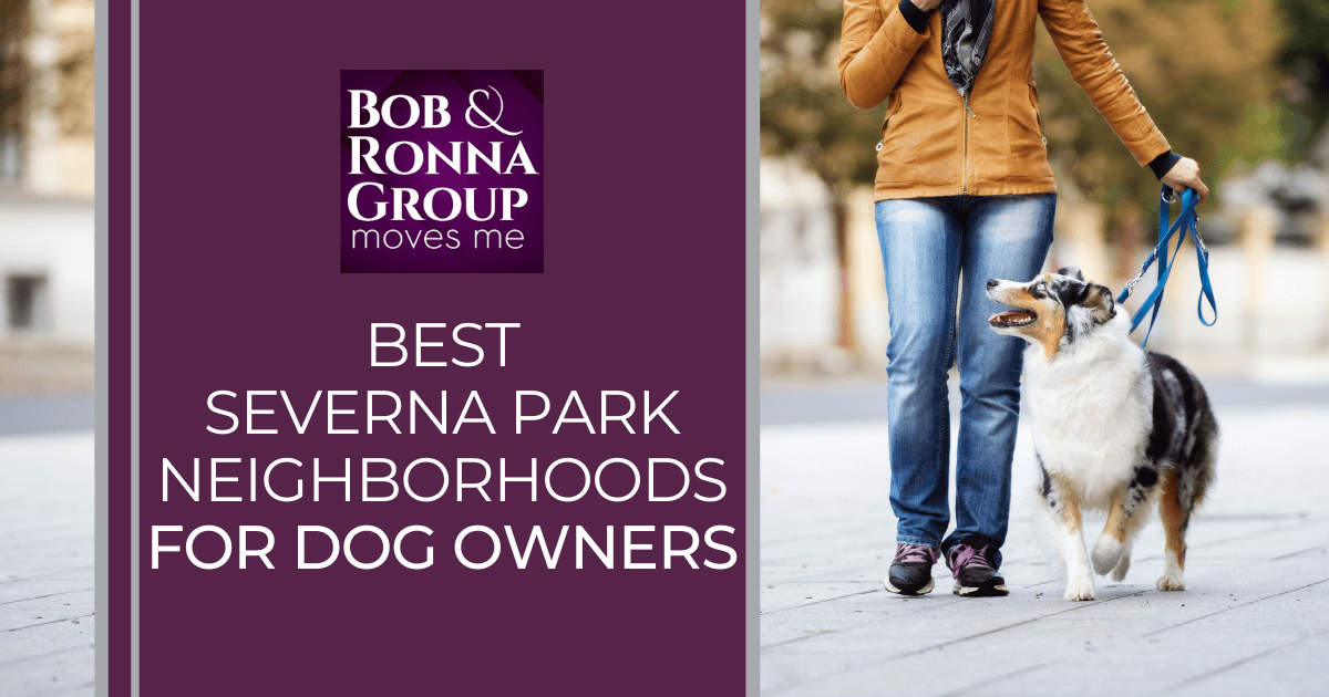 Severna Park Best Neighborhoods for Dogs