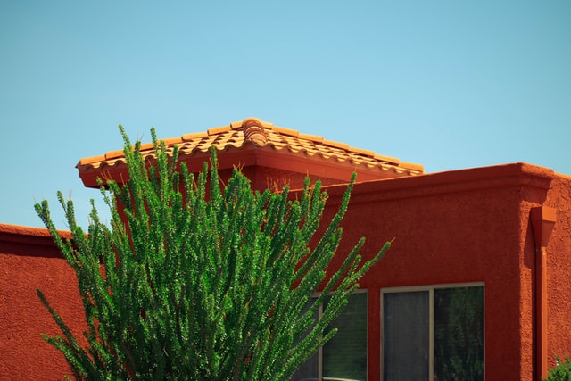 A brown house and a green-leafed plant in Arizona