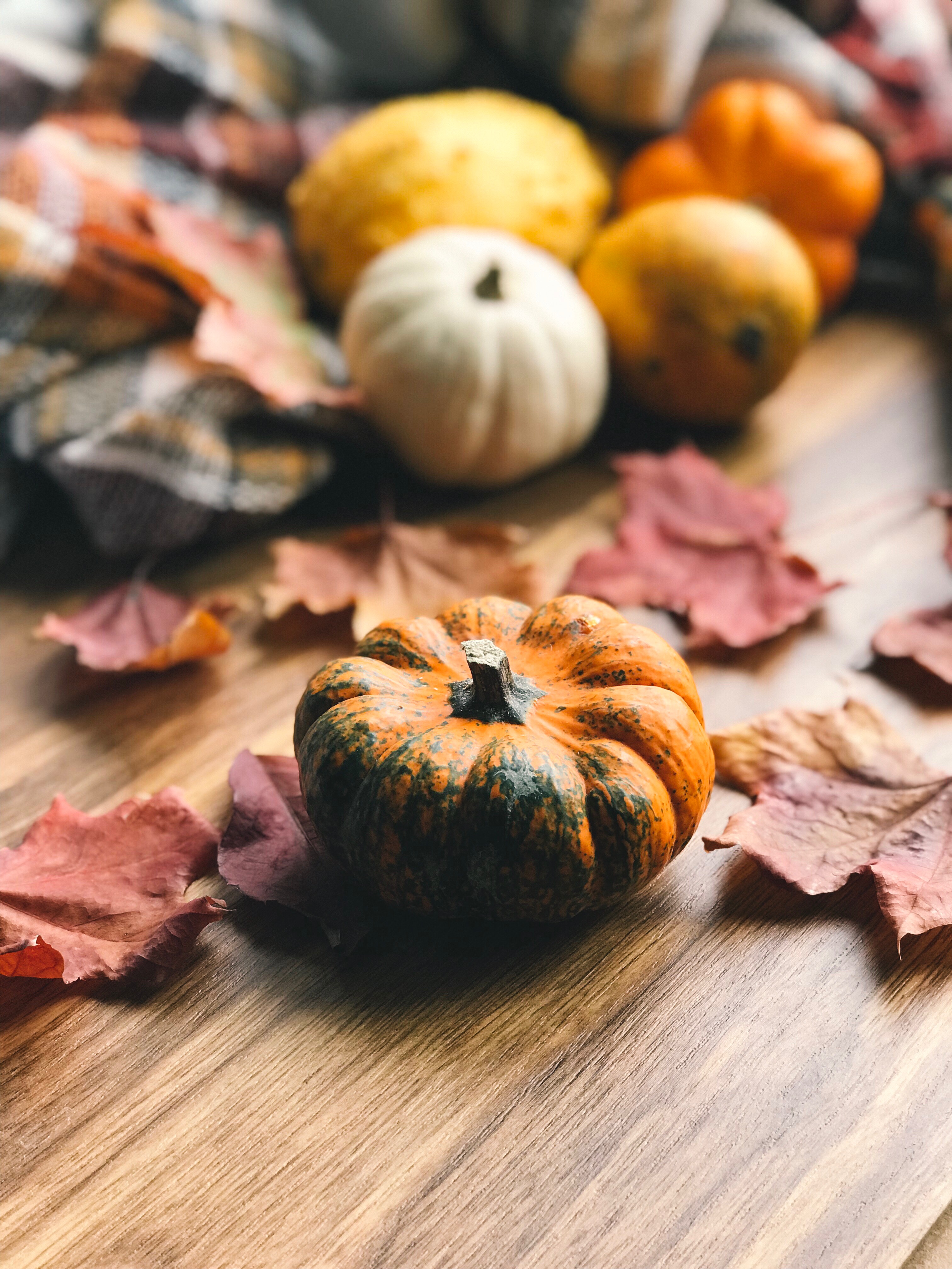 autumn decor for Louisville homeowners