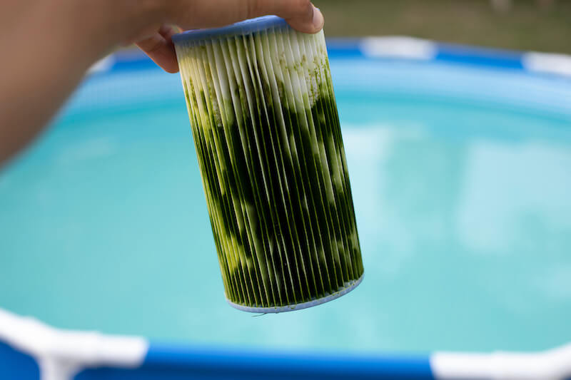 Cleaning Pool Filters Regularly is Essential for Clean Water