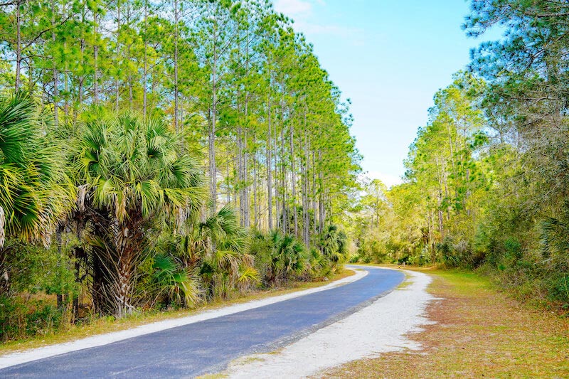 7 Best Walking & Hiking Trails Near Tampa, FL