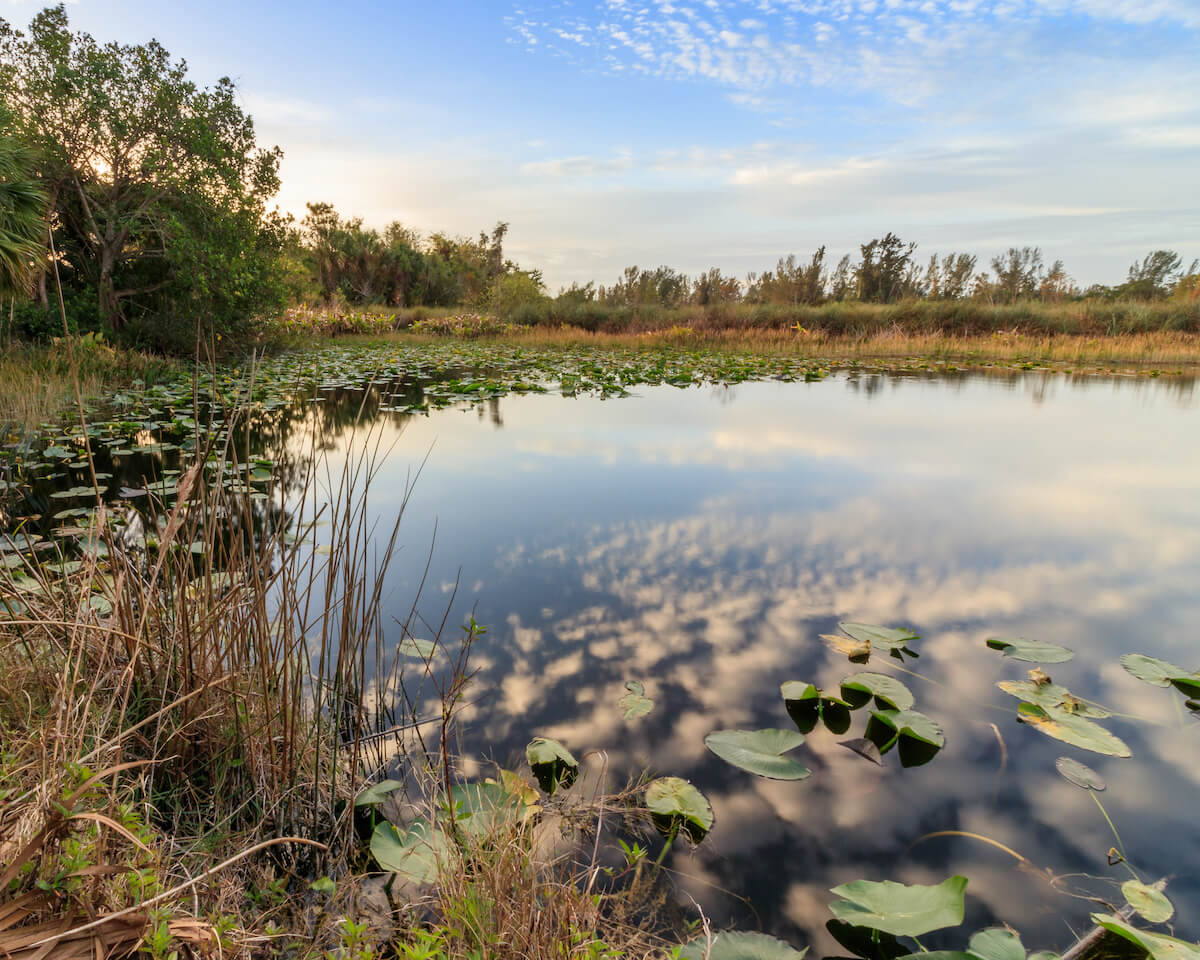 8 Best Parks in Fort Myers FL: Manatee Park, Lovers Key & More