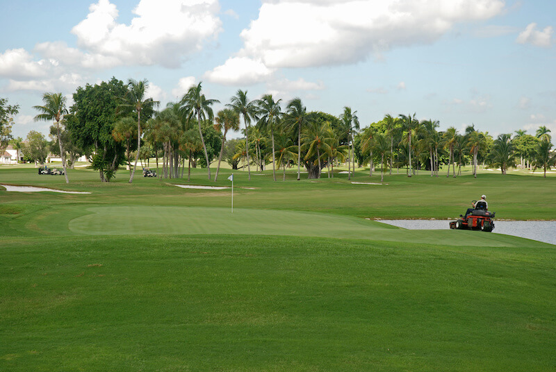 Top 10 Golf Courses Near Tampa, Florida