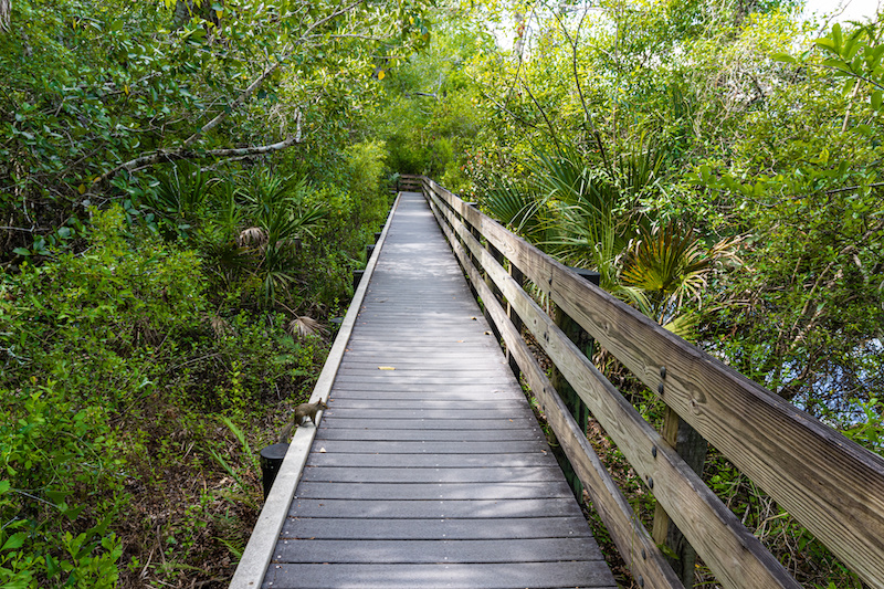 5 Best Walking & Hiking Trails Near Fort Myers, FL