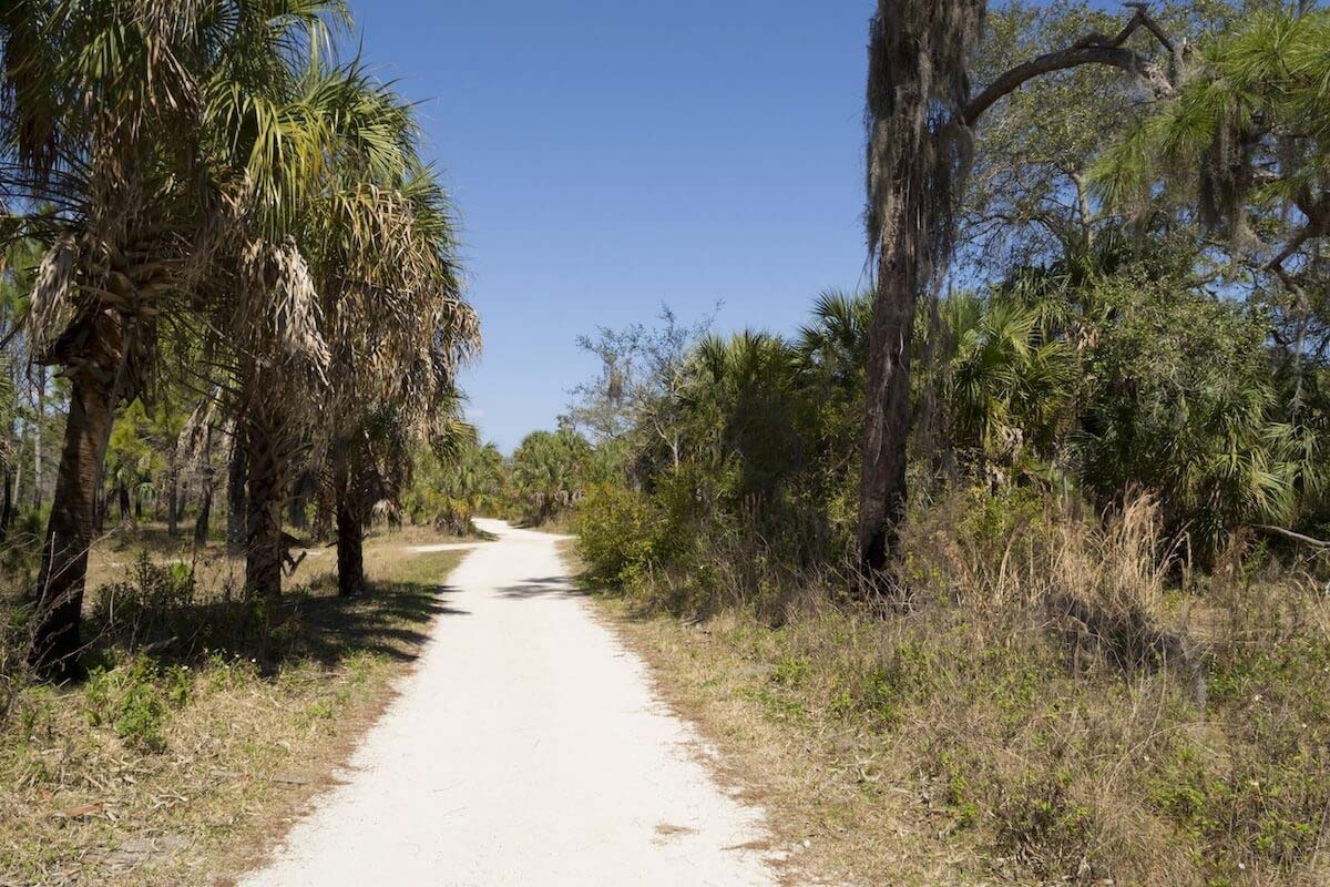 Best Walking Trails in St. Petersburg FL: Boyd Hill Nature Preserve