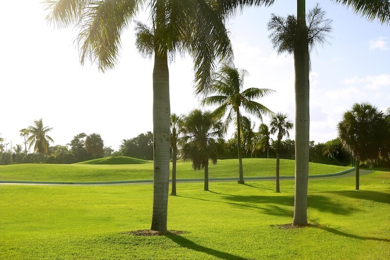 Where to Golf in St. Petersburg, FL