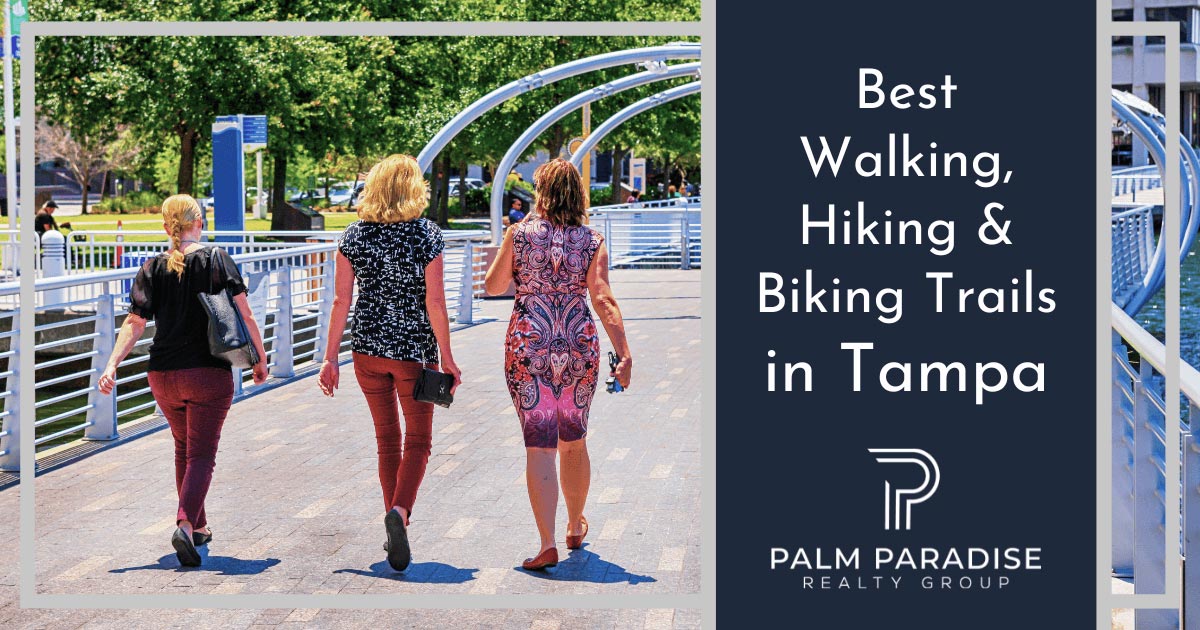 7 Best Walking And Hiking Trails Near Tampa Fl