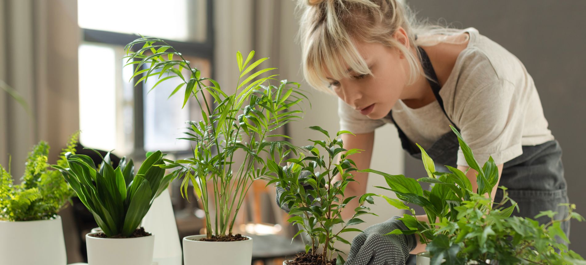 Common Mistakes Made by Beginner Plant Owners