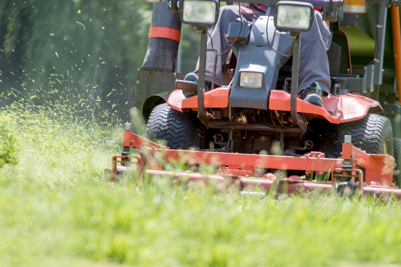 Riding reel mower for home online use