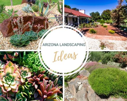 Arizona landscaping ideas