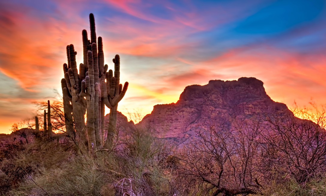 Phoenix Homes for Sale Phoenix Homes for Sale