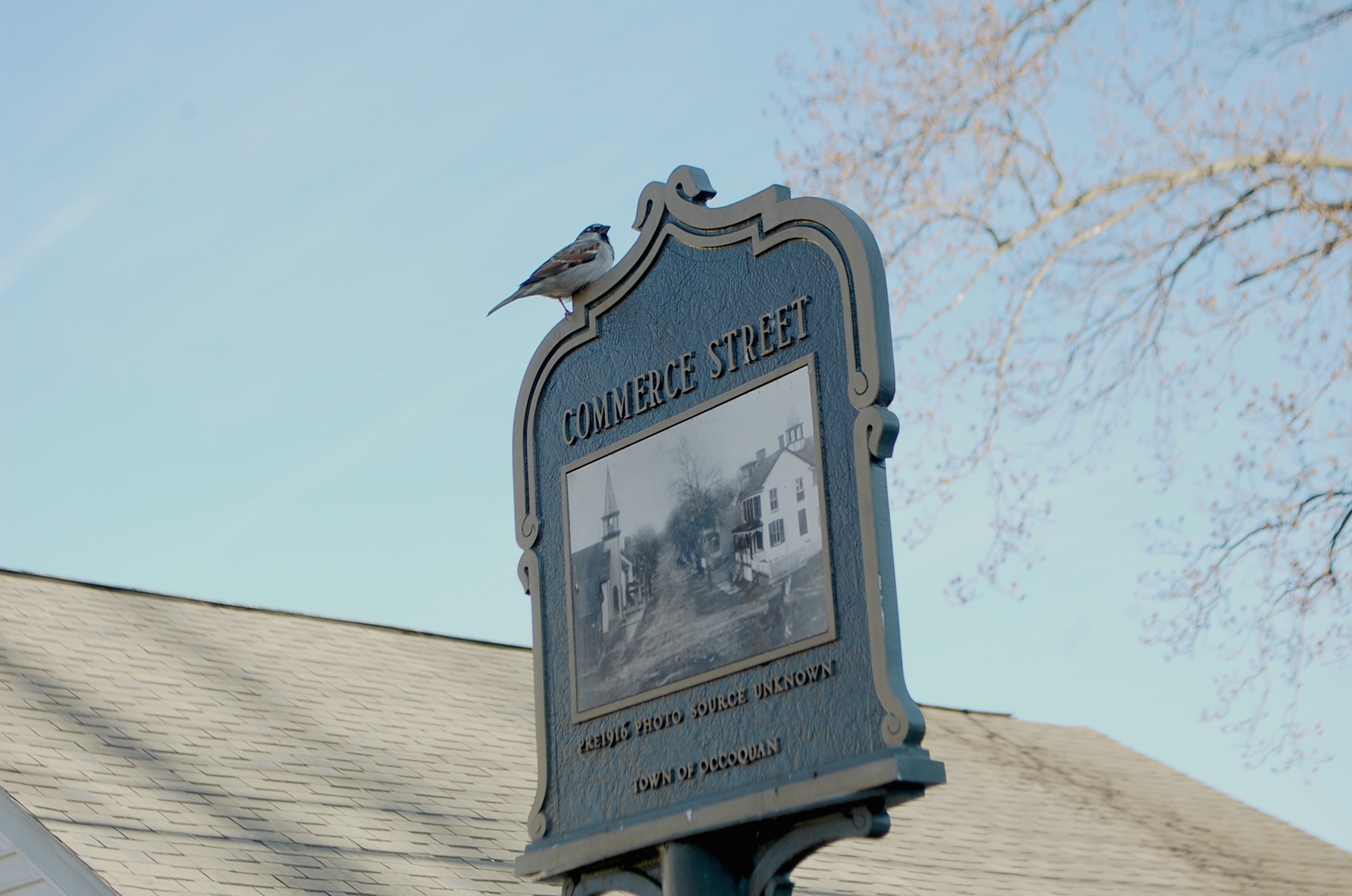 Occoquan, VA