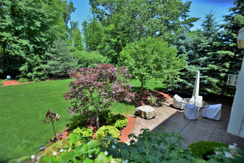 13507 Maple Lawn in Birchfield Subdivision, Shelby Twp Yard