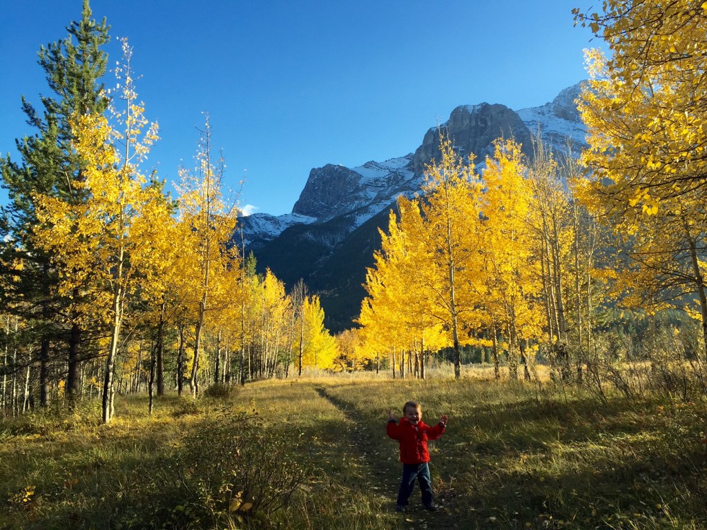 Canmore Alberta – Possibly the Best place to Live & Visit on Earth.