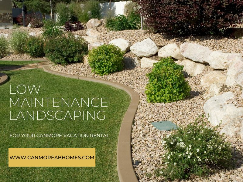 Low maintenance landscaping