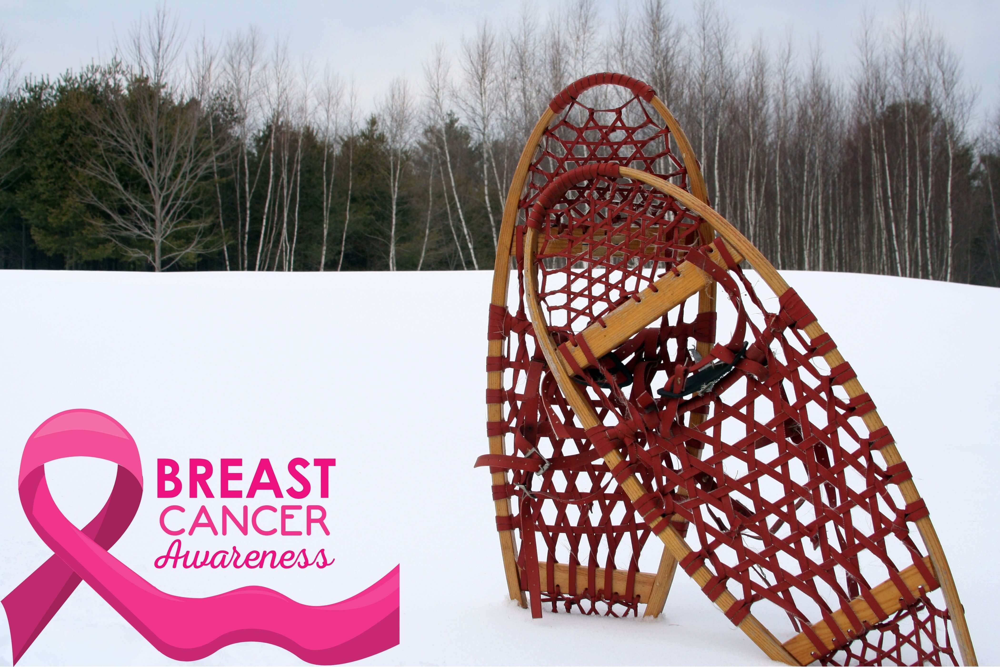 Snowshoe for the Cure Event - snowshoes in the snow with the Breast Cancer Awareness ribbon