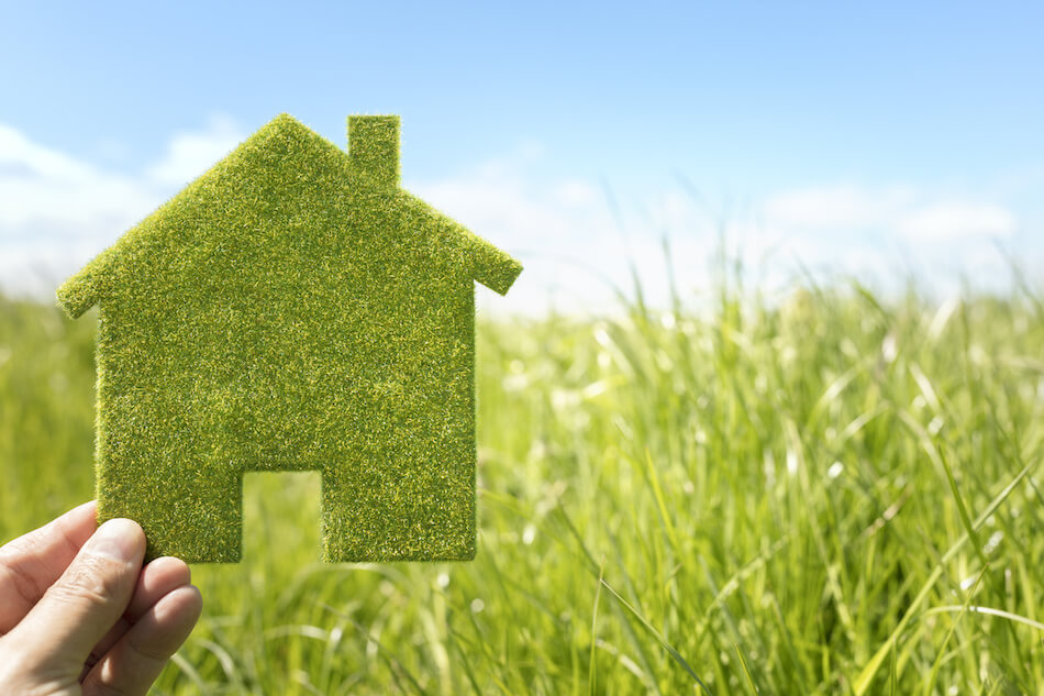 Exploring Sustainable and Eco-Friendly Homes: A Growing Trend in Real Estate