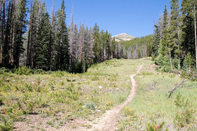 Wheeler Trail Goes Between Peak 8 and Peak 9