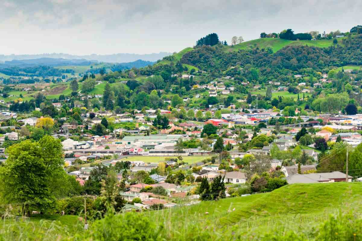 9 Reasons Pine Hills Pine Valley San Diego CA is a Great Place to Live in  2023
