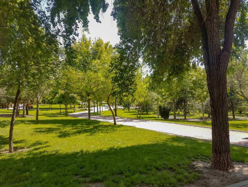 Mckinley Park Sacramento
