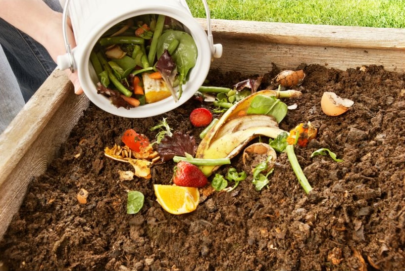 garden maintenance for your home garden maintenance for your home