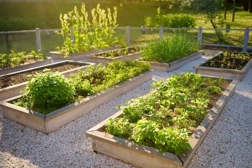garden maintenance for your home garden maintenance for your home