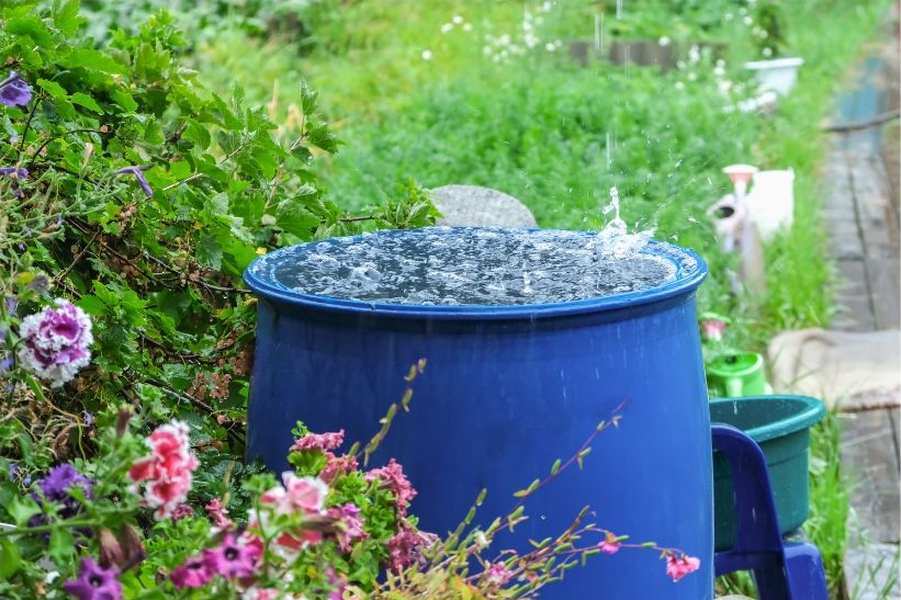 landscaping gardens landscaping gardens