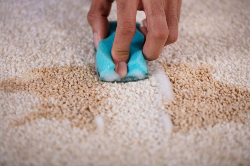 carpet stain maintenance carpet stain maintenance