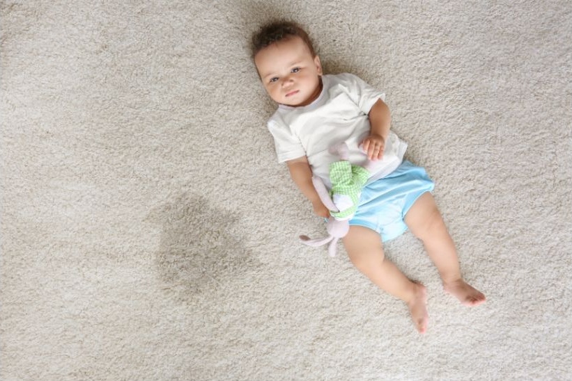 carpet stain maintenance carpet stain maintenance