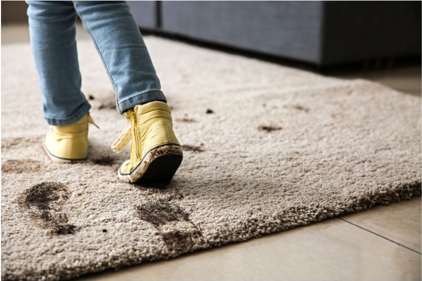 carpet stain maintenance carpet stain maintenance