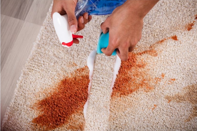 carpet stain maintenance carpet stain maintenance